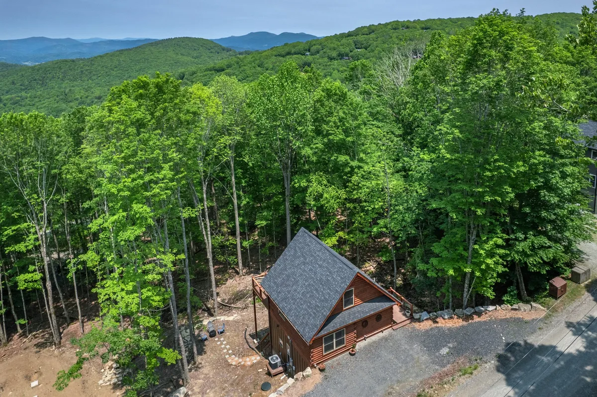 This image showcases a tranquil wooden cabin nestled among tall trees with a backdrop of mountain landscape. The setting hints at the proximity to hiking trails and natural vistas, and the open outdoor area suggests the potential for gathering around a fire pit under the stars.